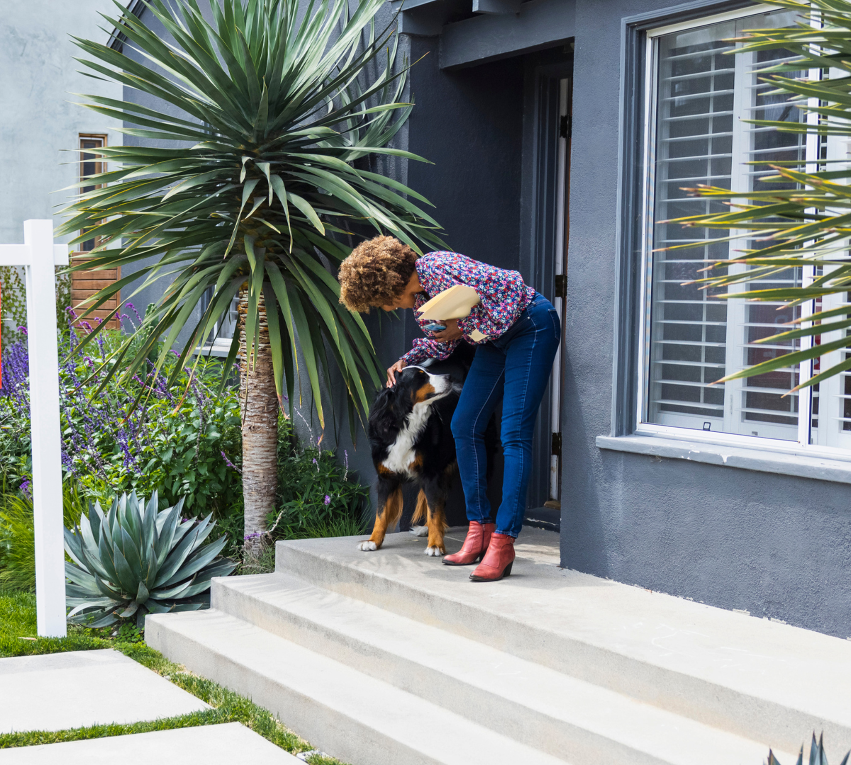 What to Do with Pets When Showing Your Home